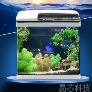智能鱼缸
